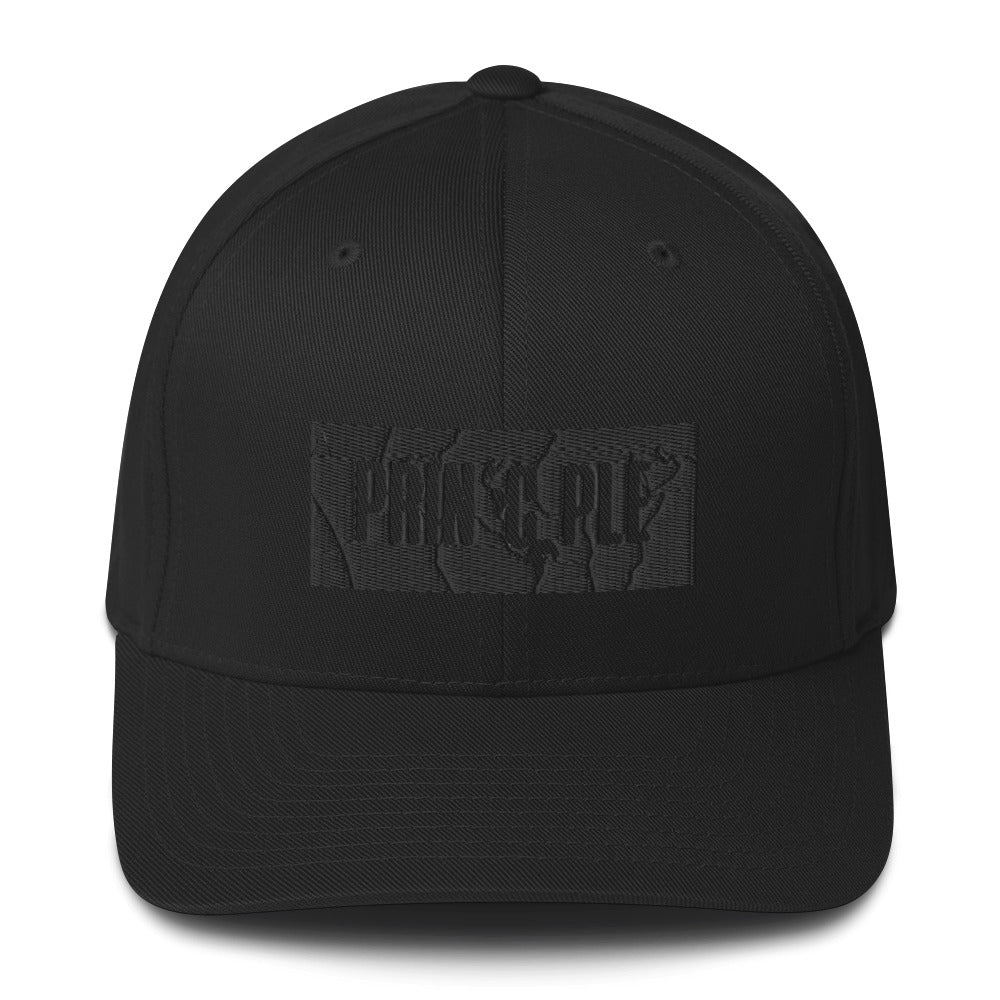 PrinCple Flexifit Structured Closed-Back Twill Black Cap