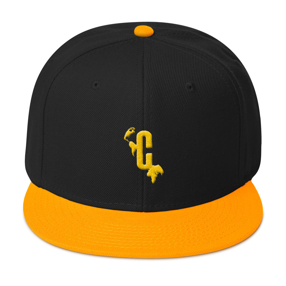 PrinCple Logomark Snapback Hat